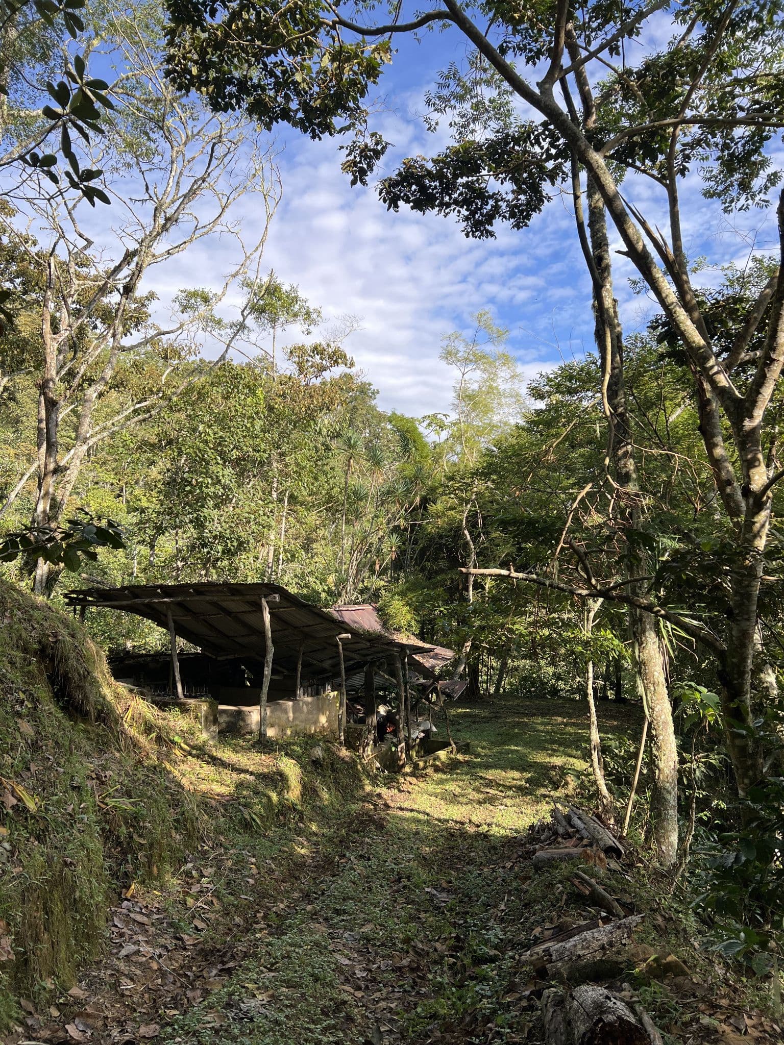 Sendero y construccion dentro de Rancho La Sirena
