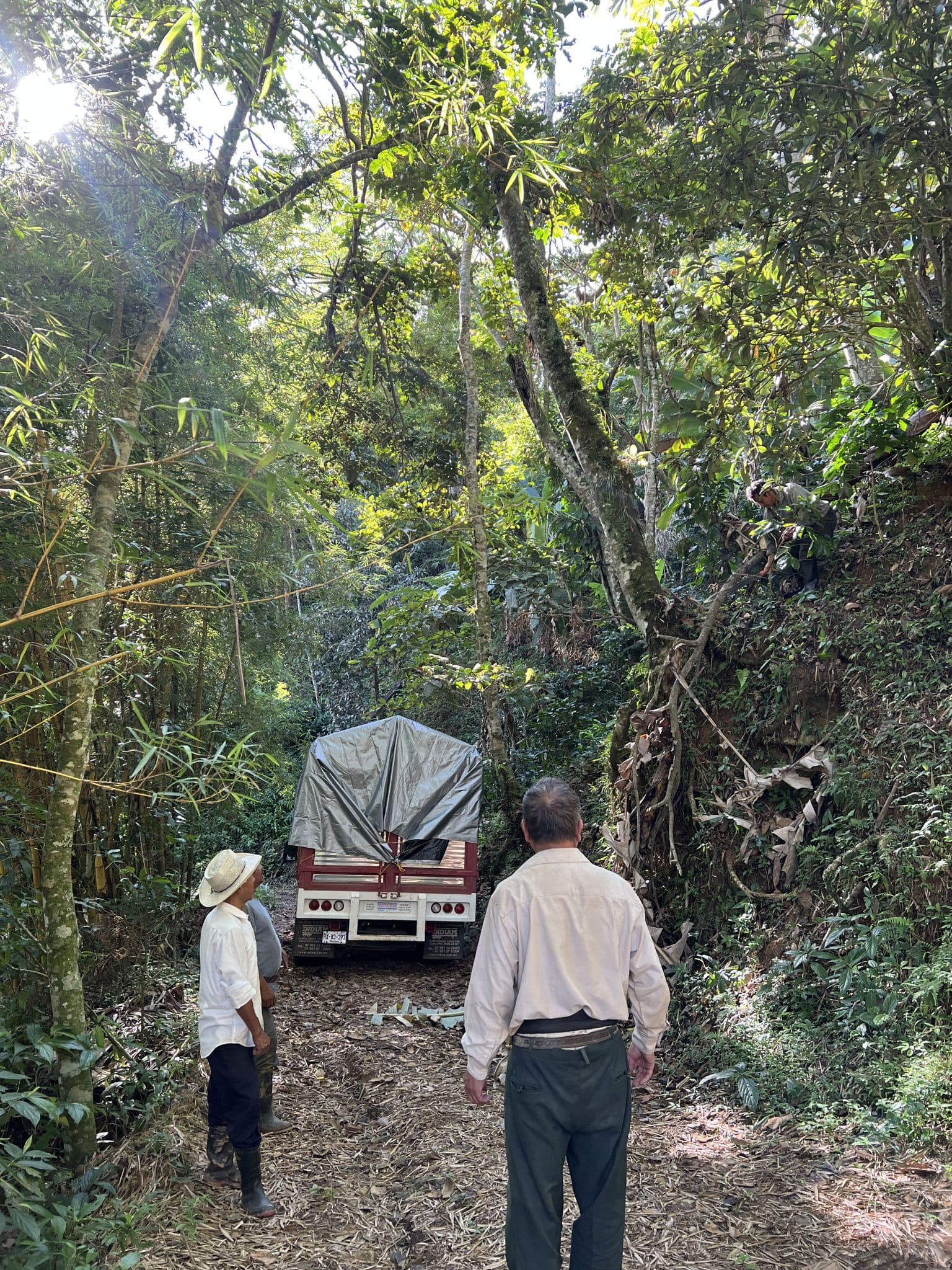 Personas caminando entre arboles del rancho