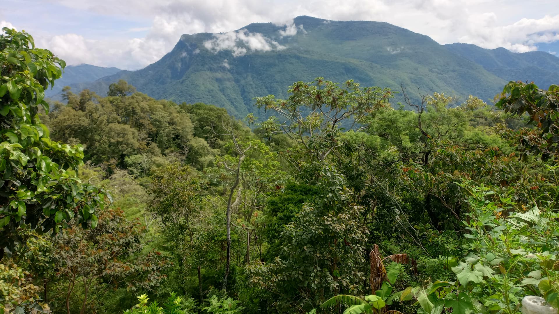 La montaña tambien forma el sabor